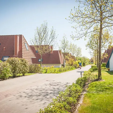 Dom wakacyjny Robbenplate 11 *