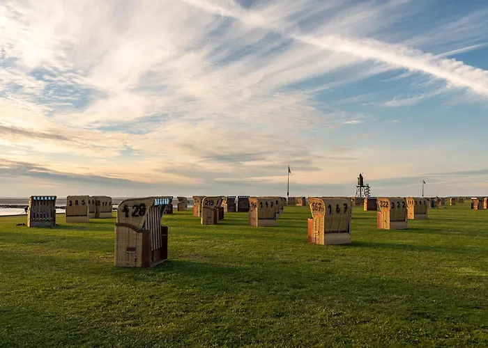 Robbenplate 11 בית נופש