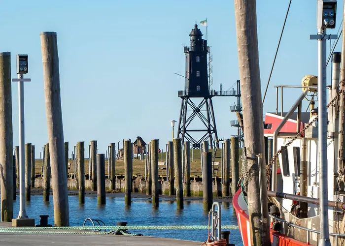 Robbenplate 11 בית נופש